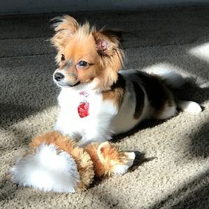 Meet your Posher, Gallagher